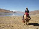 Nadia riding yak near Yamdrok Tso  » Click to zoom ->
