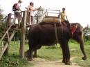 Prasad and his wife in Nepal, riding Elephant  » Click to zoom ->